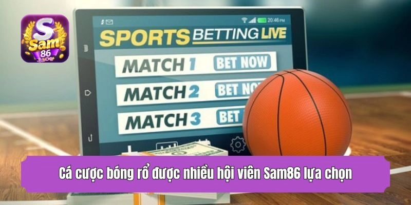 Cá cược bóng rổ được nhiều hội viên Sam86 lựa chọn
