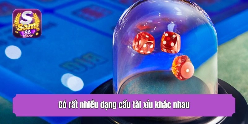 Có rất nhiều dạng cầu tài xỉu khác nhau
