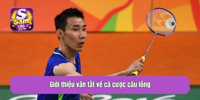 Giới thiệu văn tắt về cá cược cầu lông