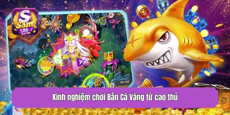 Kinh nghiệm chơi Bắn Cá Vàng từ cao thủ